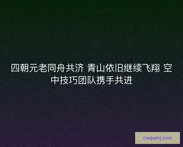 四朝元老同舟共济 青山依旧继续飞翔 空中技巧团队携手共进