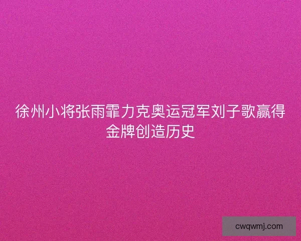 徐州小将张雨霏力克奥运冠军刘子歌赢得金牌创造历史