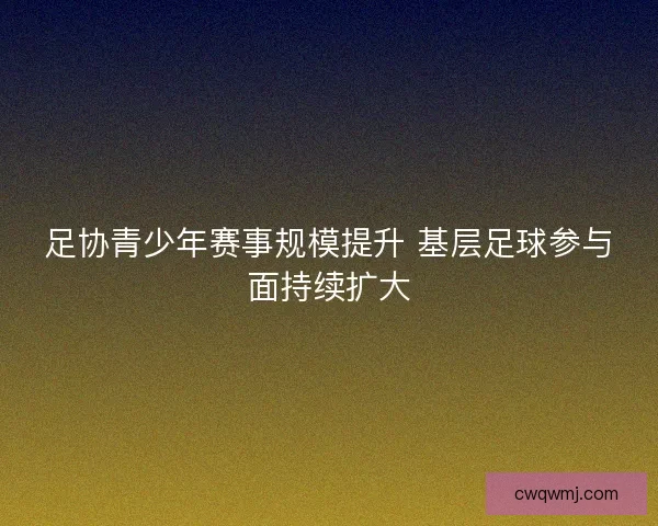 足协青少年赛事规模提升 基层足球参与面持续扩大