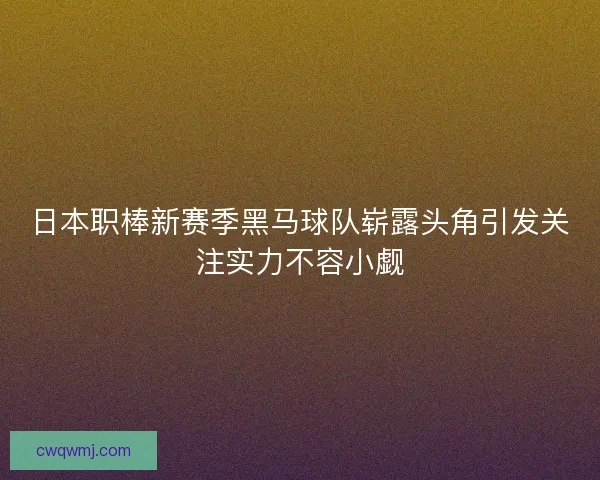 日本职棒新赛季黑马球队崭露头角引发关注实力不容小觑 日本职棒新赛季黑马球队崭露头角引发关注实力不容小觑
