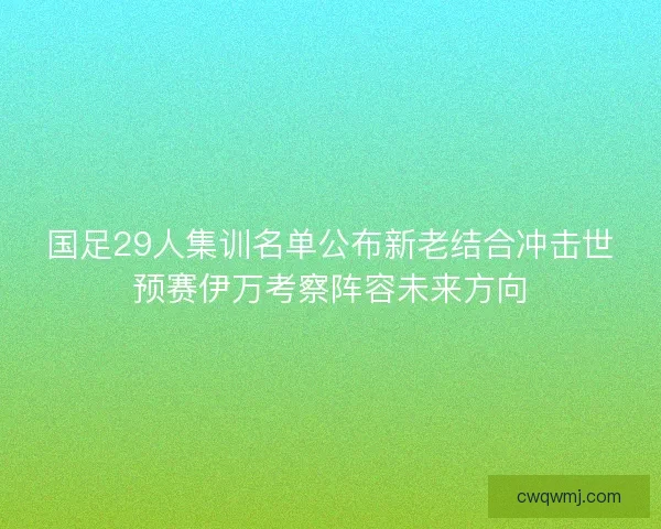 国足29人集训名单公布新老结合冲击世预赛伊万考察阵容未来方向 国足29人集训名单公布新老结合冲击世预赛伊万考察阵容未来方向